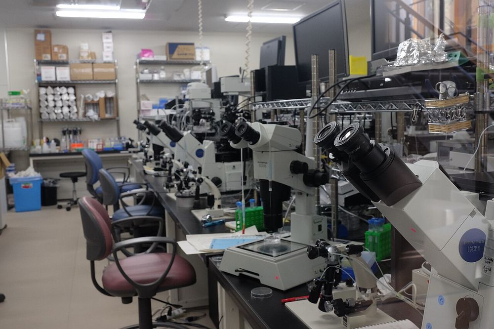 A microscope in a biology laboratory