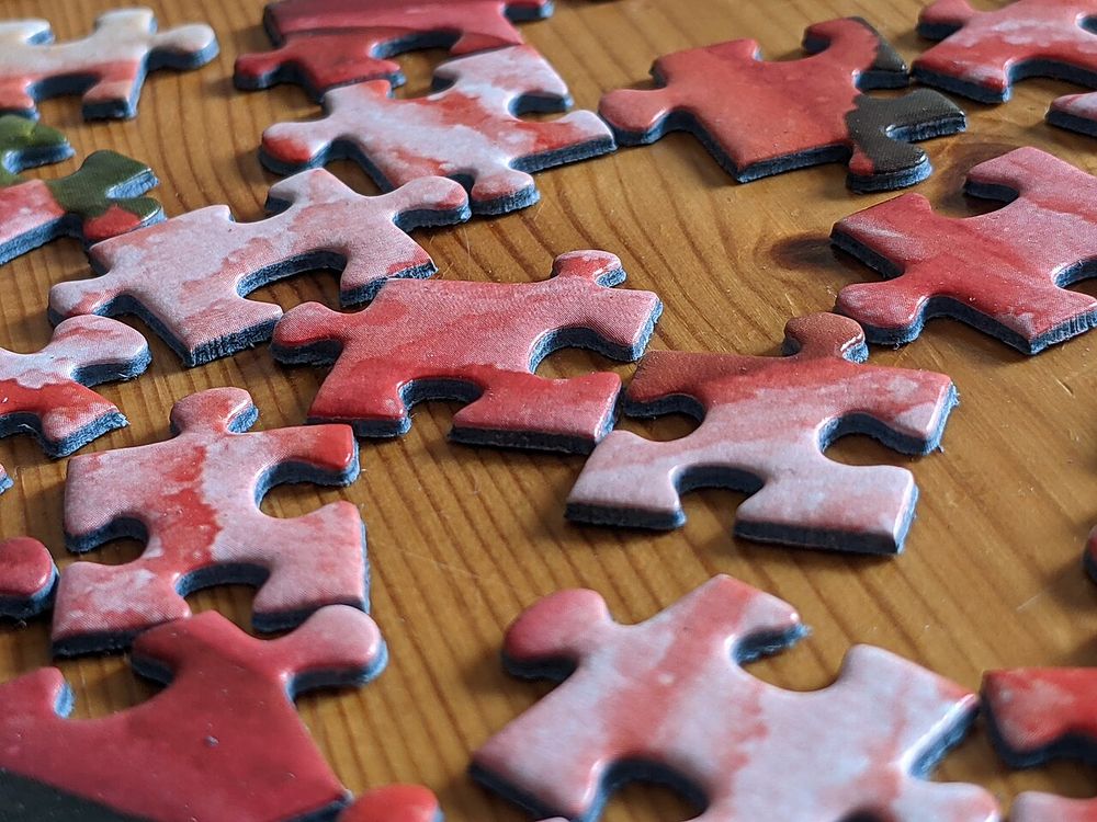 Jigsaw puzzle pieces for logical reasoning